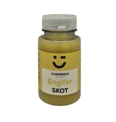 Til hamingju Engifer skot 10x125ml